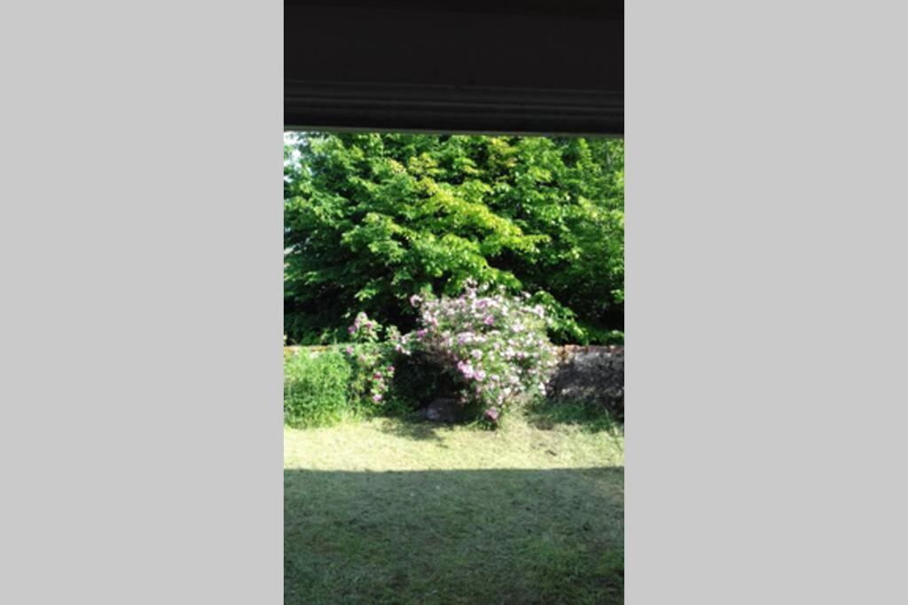 הוילה קלוני Jardin De Cure מראה חיצוני תמונה